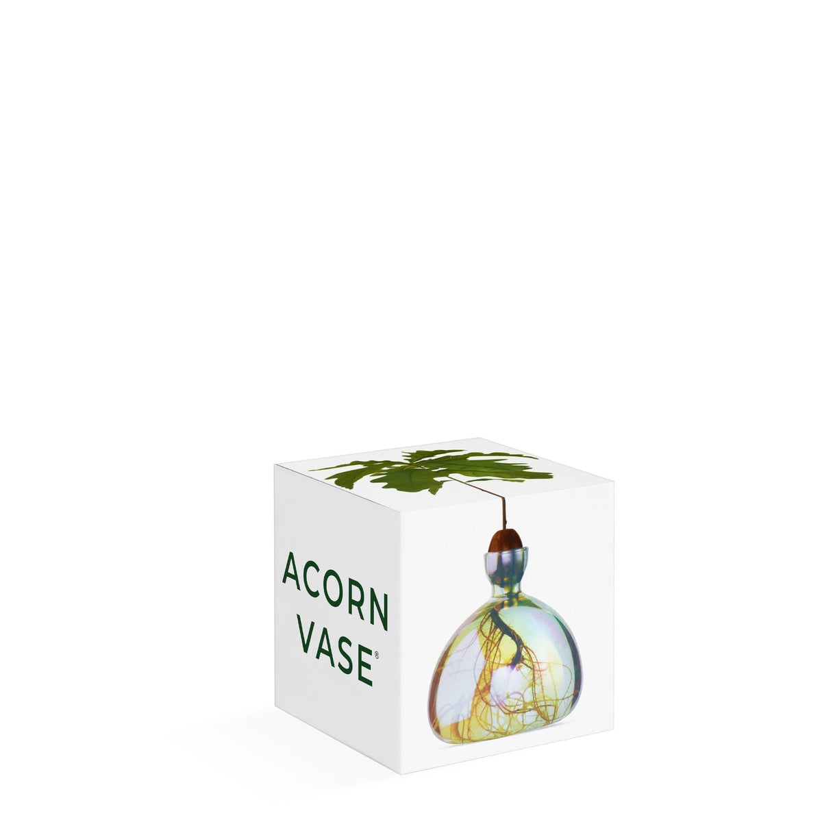 Acorn Vase