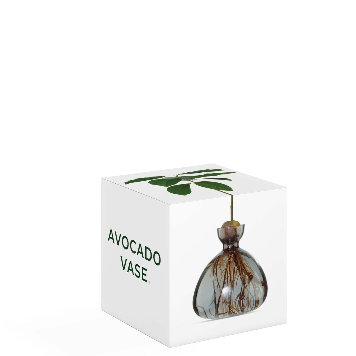 Avocado Vase